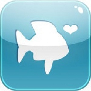 pof app logo