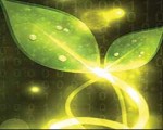 green_tics