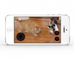 Petcube-iOS-app