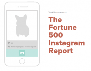 fortune-500-instagram-informe