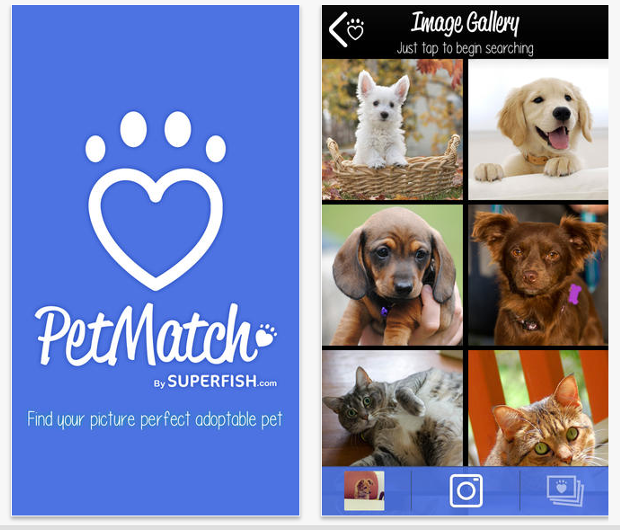 petmatch-app-mascotas