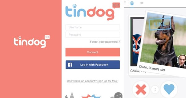 Tindog, otra app de dating para perros