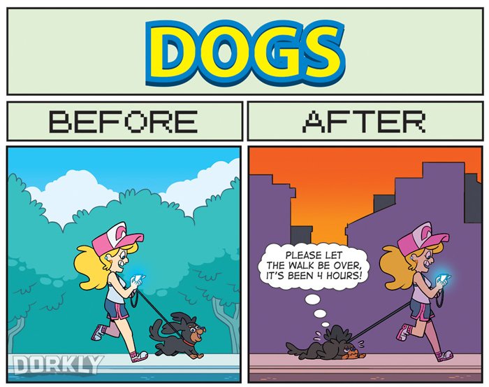 pokemon-go-perros