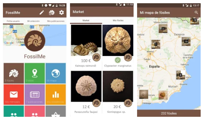 Fossil me, la app y red social para los amantes de los fósiles