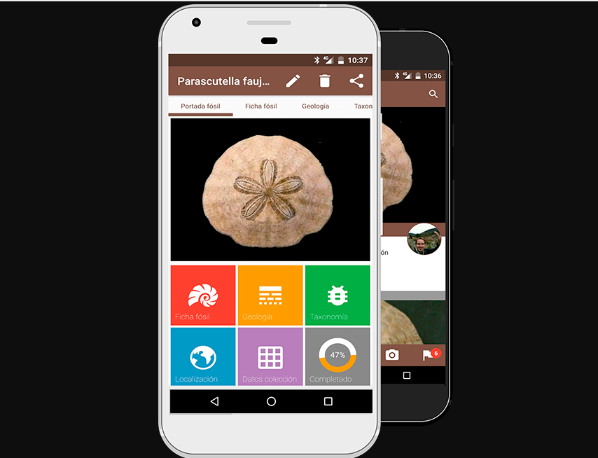 Fossil me, la app y red social para los amantes de los fósiles