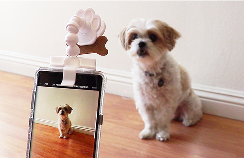 Los mejores accesorios para hacerte selfies con tu mascota