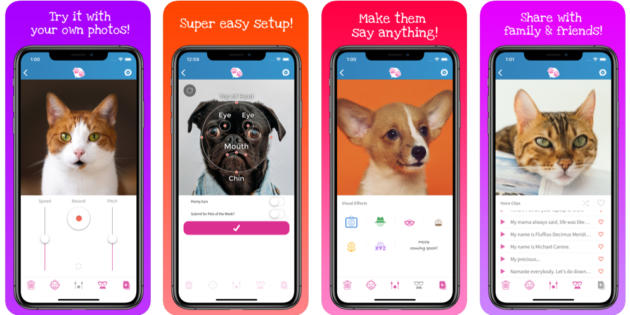 My Talking Pet, la app para doblar a tu mascota que triunfa entre las celebrities