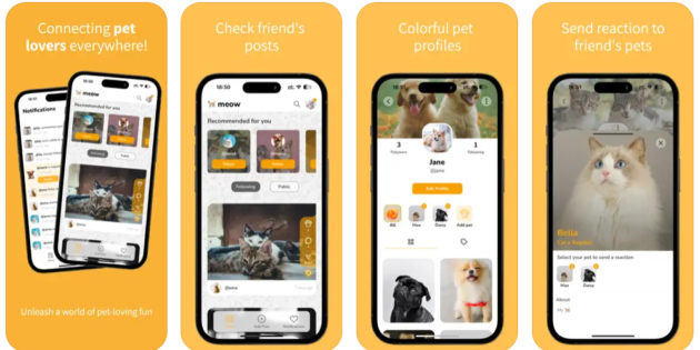 Petigo, una nueva red social para conectar a todos los amantes de las mascotas