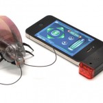 Cucarachas teledirigidas controladas por una aplicación de iPhone