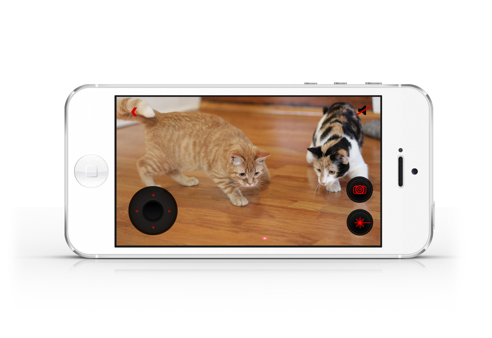 Petcube, una caja mágica y app que te permitirá comunicarte a distancia con tu mascota