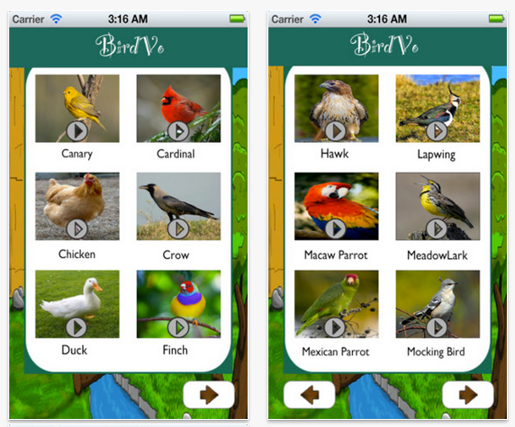 Pájaros confundidos por apps que trinan