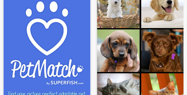 PetMatch: Encuentra a otro perro o gato parecido a tu antigua mascota