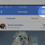 Vine se actualiza a iOS 8