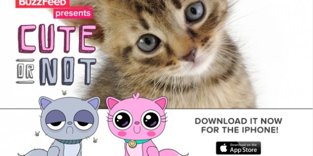 Cute or Not, la app de Buzzfeed para valorar mascotas