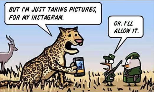 Cómic: ¿Cómo sería Instagram en el mundo animal?
