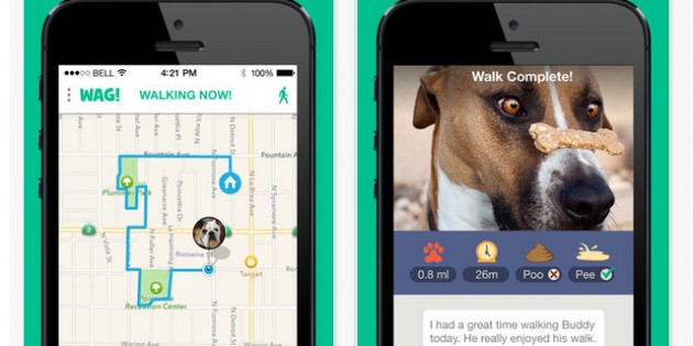 Wag!, el Uber de los paseadores de perros