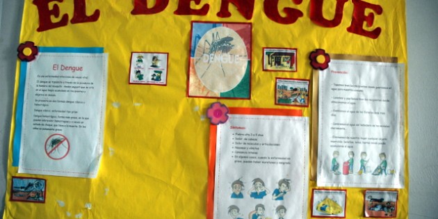 Anesvad prueba una app para combatir el dengue