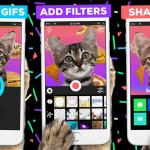 Giphy lanza una app para que protagonices gifs animados