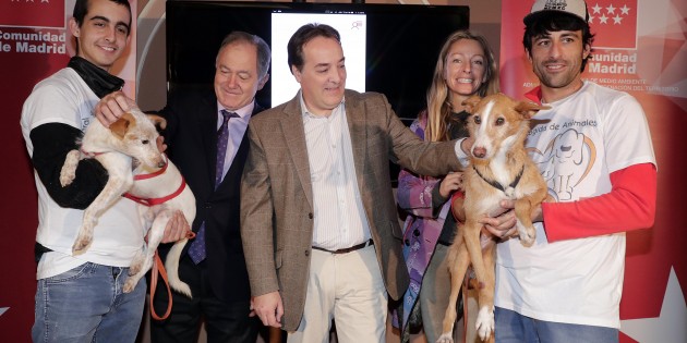 La Comunidad de Madrid presenta una app para facilitar la adopción de animales y localizar mascotas perdidas