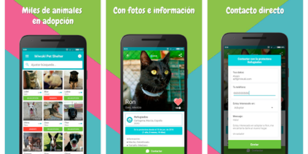 Miwuki, la app para adoptar mascotas y hacer donaciones a protectoras