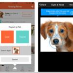 Finding Rover, la app que usa reconocimiento facial para encontrar mascotas perdidas