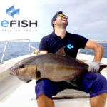 WeFish ‘pesca’ 150.000 euros en una ronda de financiación