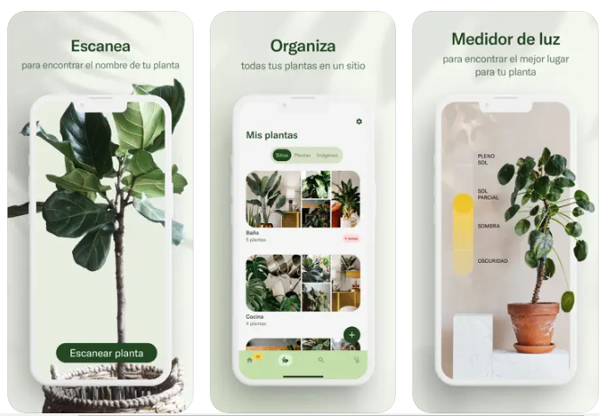 Planta, la app que te ayuda a mantener tus macetas vivas este verano