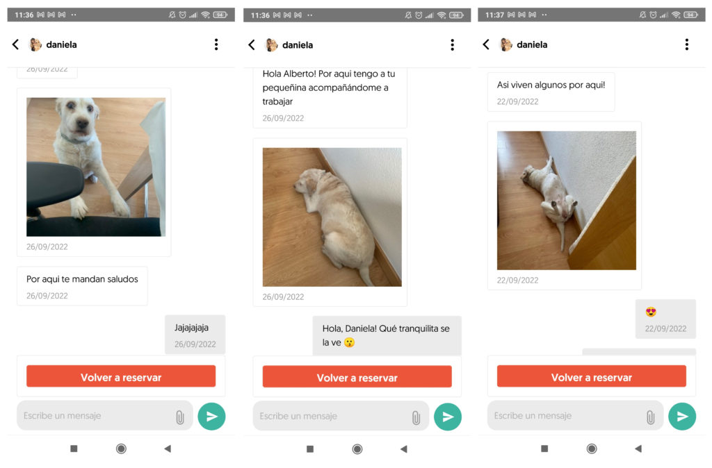 Probamos Gudog, la app que te permite encontrar un canguro para tu perro