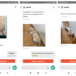 Probamos Gudog, la app que te permite encontrar un canguro para tu perro