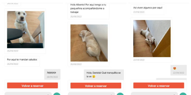 Probamos Gudog, la app que te permite encontrar un canguro para tu perro