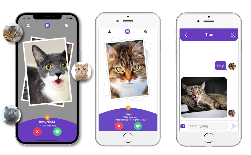 Kitty Nip, la app de dating donde ligas gracias a tu gato