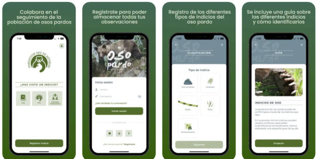 Meetingbears, la app donde puedes reportar si te cruzas con un oso