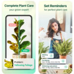 Plant Parent, la app para que tus plantas no se mueran este verano