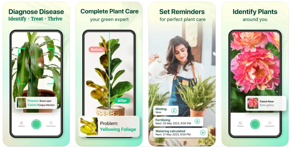 Plant Parent, la app para que tus plantas no se mueran este verano