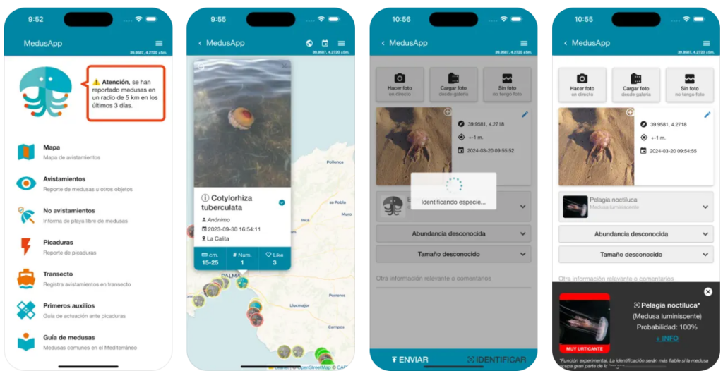 Esta app te permite saber si hay medusas en la playa