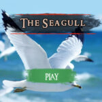 Sé una gaviota en The Seagull