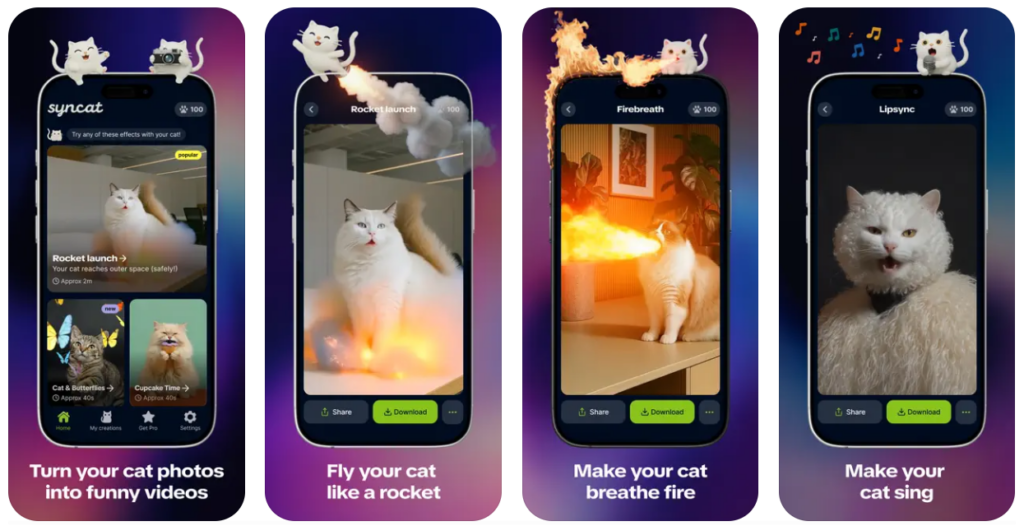 Syncat, una app para animar a tu gato