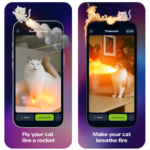Syncat, una app para animar a tu gato