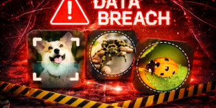 Un fallo de seguridad en apps de IA expone las ubicaciones de más de 150.000 usuarios