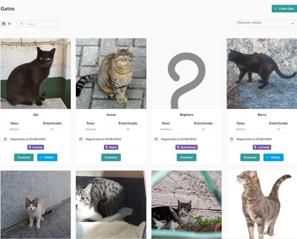Meow Metrics: "Queremos convertirnos en la app de referencia en la gestión de colonias felinas para Ayuntamientos"