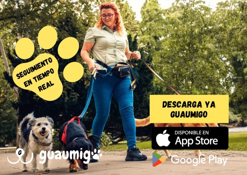 Guaumigo: “Tratamos bien al paseador y eso lo nota tu perro”