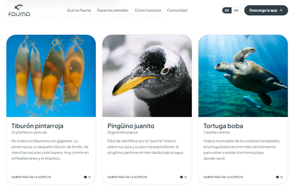 Fauma transforma la conservación animal en una experiencia interactiva desde el smartphone