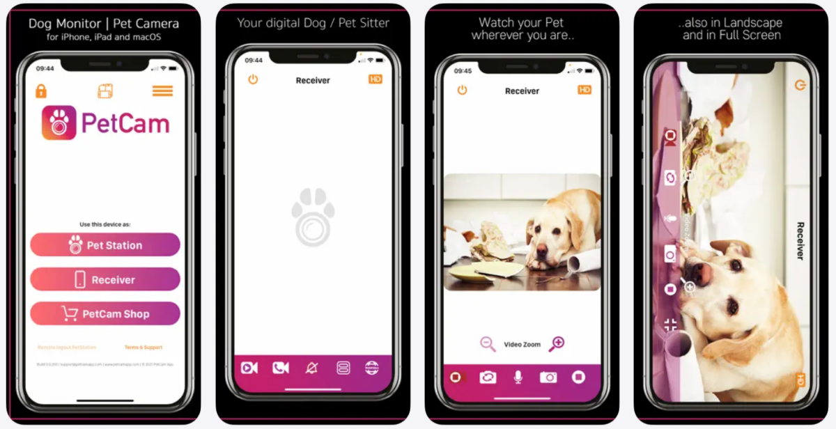 PetCam convierte un móvil antiguo en una cámara para vigilar a tus mascotas