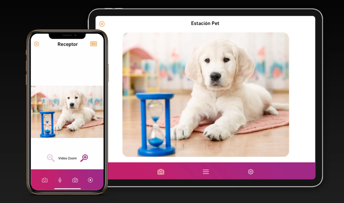 PetCam convierte un móvil antiguo en una cámara para vigilar a tus mascotas