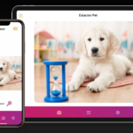 PetCam convierte un móvil antiguo en una cámara para vigilar a tus mascotas