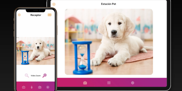 PetCam convierte un móvil antiguo en una cámara para vigilar a tus mascotas