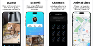 Nace Animal Swipe, un TikTok centrado en el mundo animal y con propósito