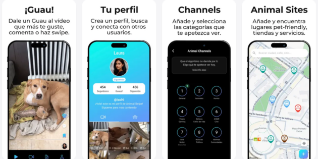 Nace Animal Swipe, un TikTok centrado en el mundo animal y con propósito