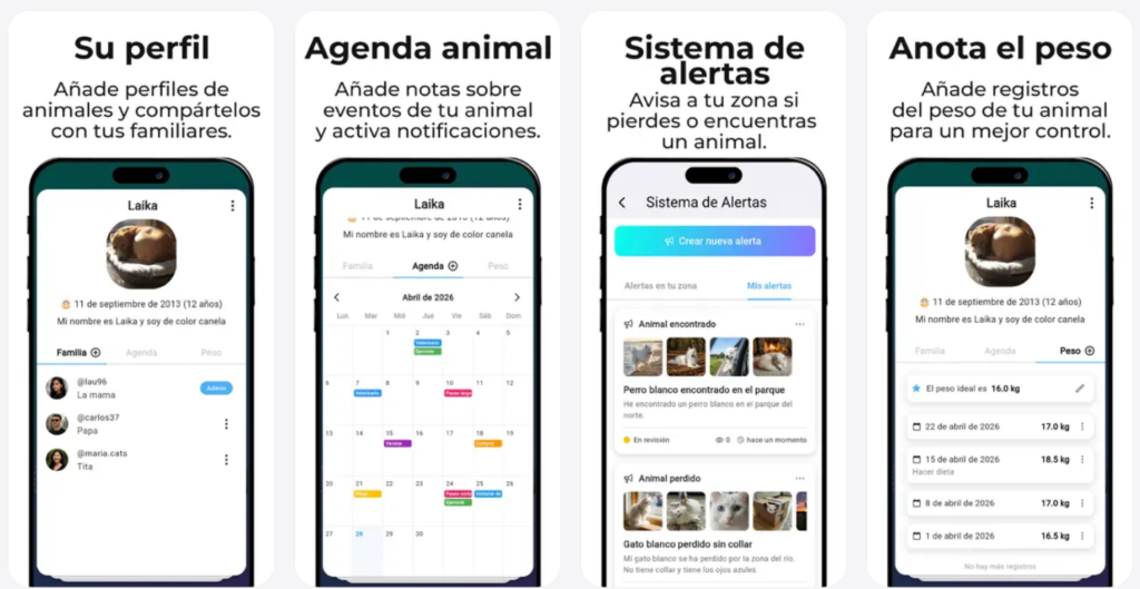Nace Animal Swipe, un TikTok centrado en el mundo animal y con propósito